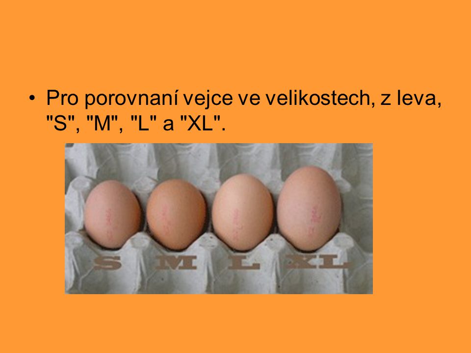 Pro porovnaní vejce ve velikostech, z leva, S , M , L a XL .