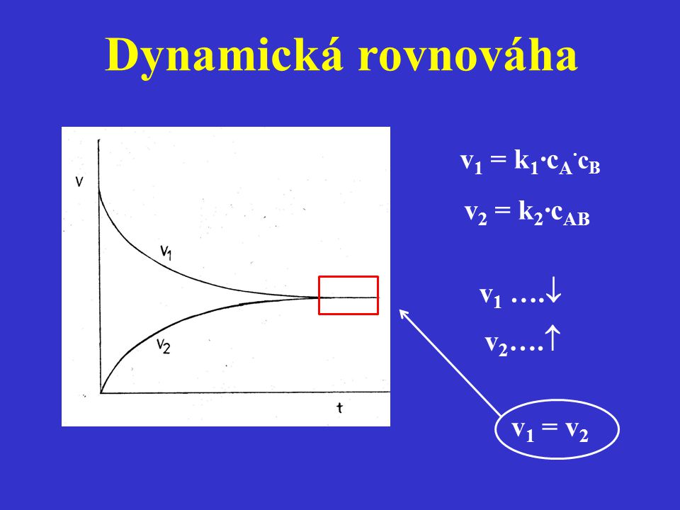 Dynamická rovnováha v1 = k1·cA·cB v2 = k2·cAB v1 …. v2…. v1 = v2