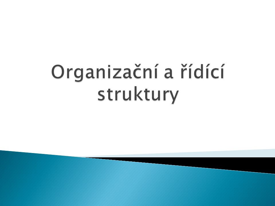 Organizační a řídící struktury