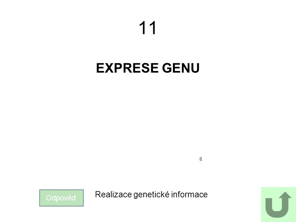 11 EXPRESE GENU 8. Odpověď Realizace genetické informace