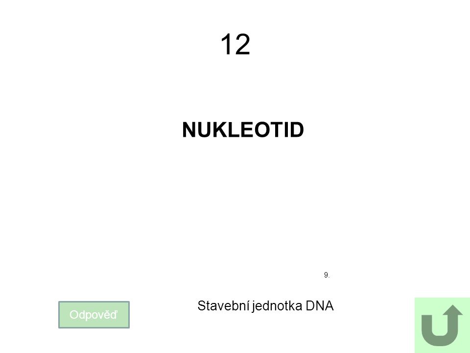 12 NUKLEOTID 9. Stavební jednotka DNA Odpověď