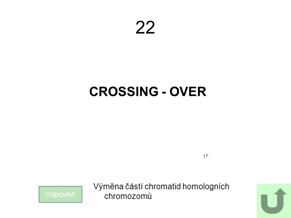 22 CROSSING - OVER Výměna částí chromatid homologních chromozomů