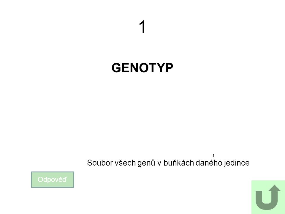 1 GENOTYP 1. Soubor všech genů v buňkách daného jedince Odpověď