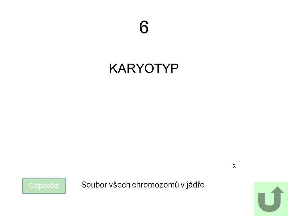 6 KARYOTYP 5. Odpověď Soubor všech chromozomů v jádře