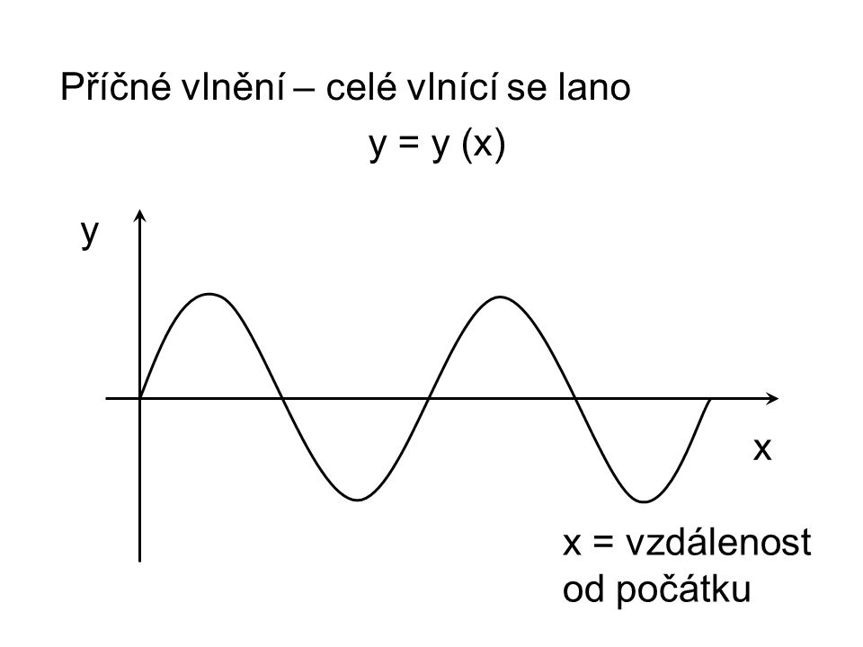 Příčné vlnění – celé vlnící se lano y = y (x)