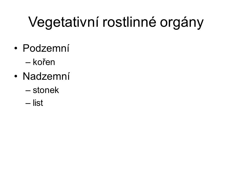 Vegetativní rostlinné orgány
