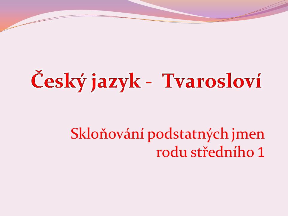 Český jazyk - Tvarosloví