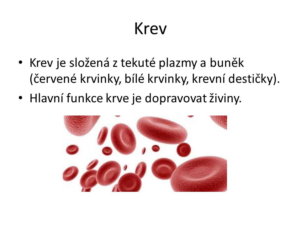Krev Krev je složená z tekuté plazmy a buněk (červené krvinky, bílé krvinky, krevní destičky).