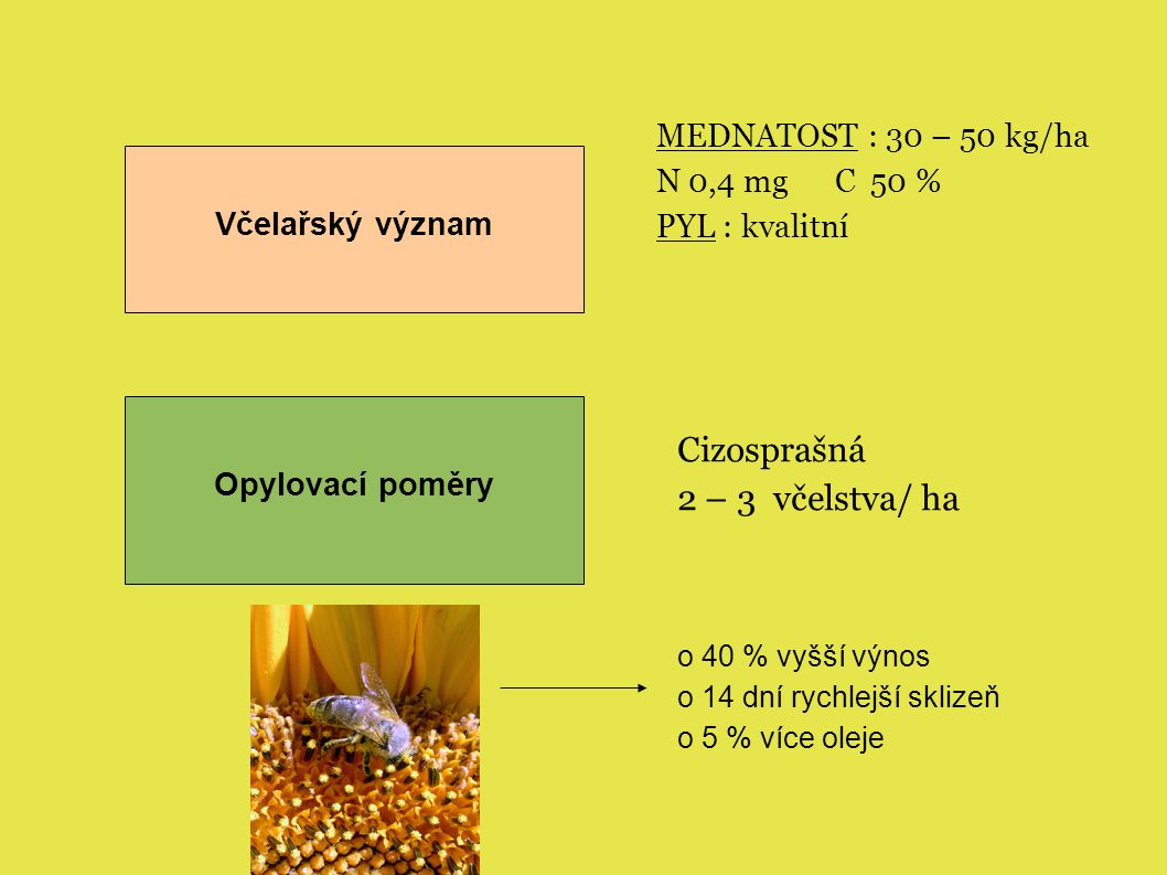 Cizosprašná 2 – 3 včelstva/ ha MEDNATOST : 30 – 50 kg/ha