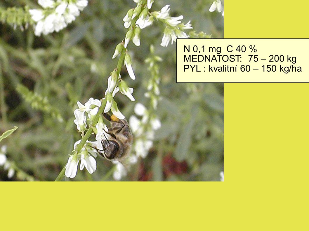 N 0,1 mg C 40 % MEDNATOST: 75 – 200 kg PYL : kvalitní 60 – 150 kg/ha
