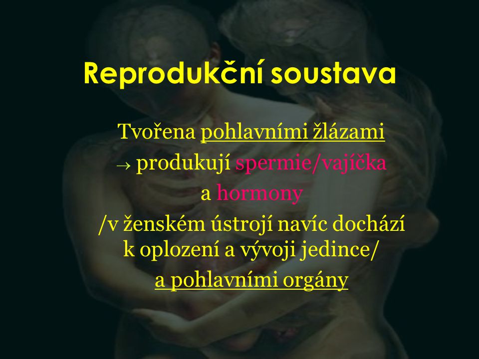 Reprodukční soustava Tvořena pohlavními žlázami