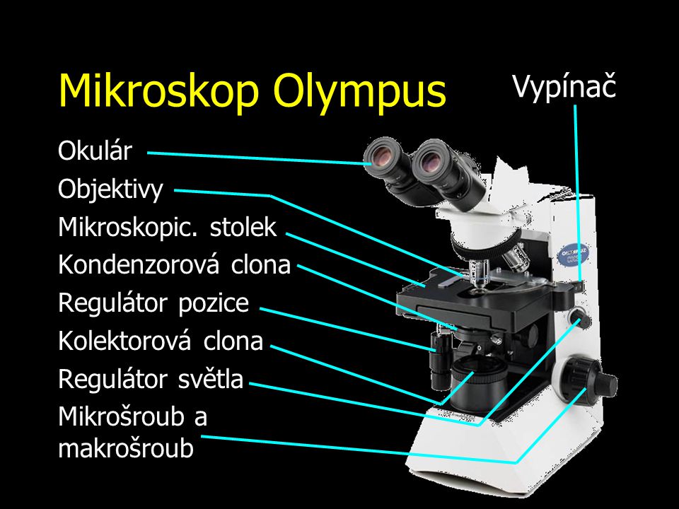 Mikroskop Olympus Vypínač Okulár Objektivy Mikroskopic. stolek