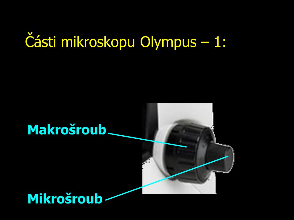 Části mikroskopu Olympus – 1:
