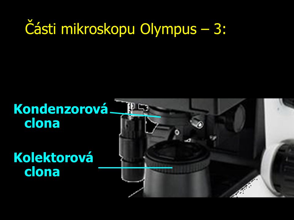 Části mikroskopu Olympus – 3: