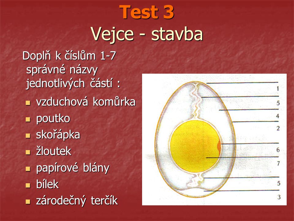 Test 3 Vejce - stavba Doplň k číslům 1-7 správné názvy jednotlivých částí : vzduchová komůrka. poutko.