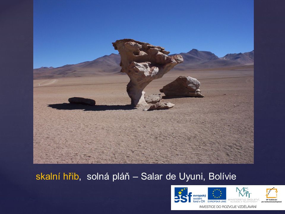skalní hřib, solná pláň – Salar de Uyuni, Bolívie
