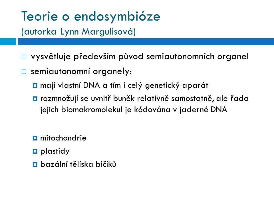 Teorie o endosymbióze (autorka Lynn Margulisová)