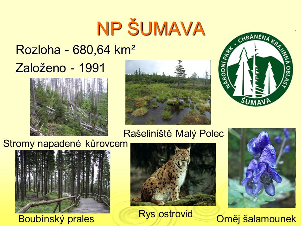 NP ŠUMAVA Rozloha - 680,64 km² Založeno Rašeliniště Malý Polec