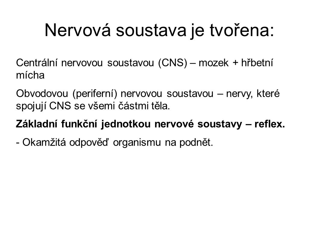 Nervová soustava je tvořena: