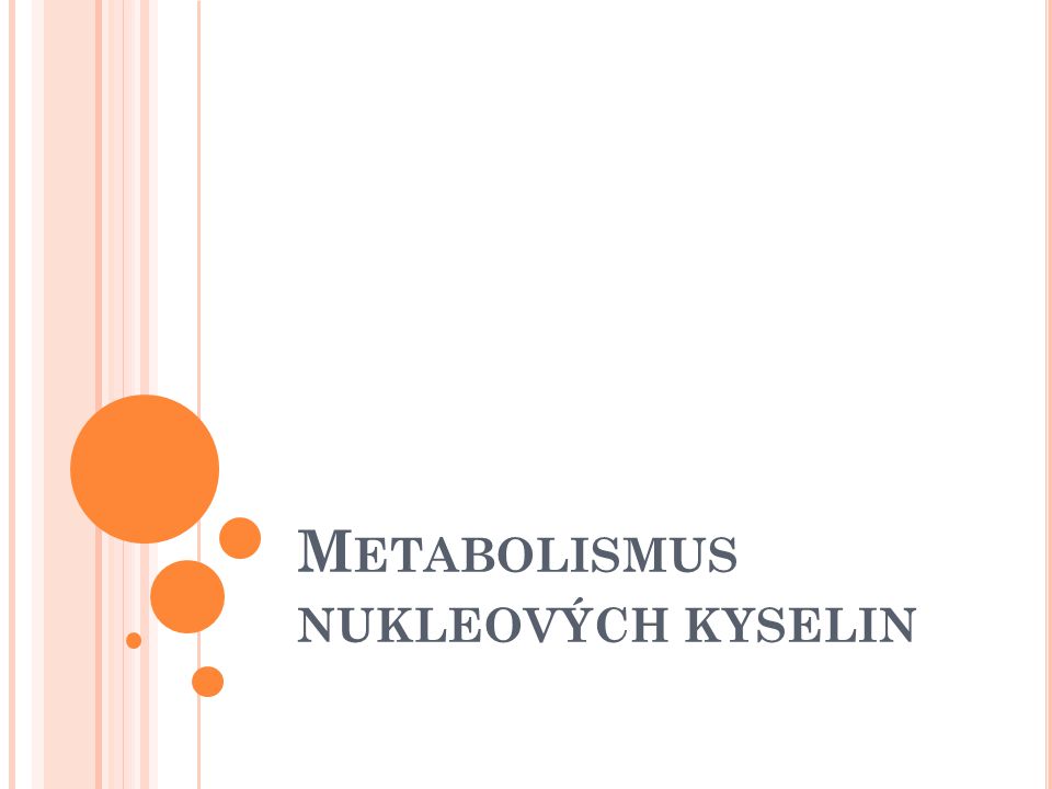 Metabolismus nukleových kyselin