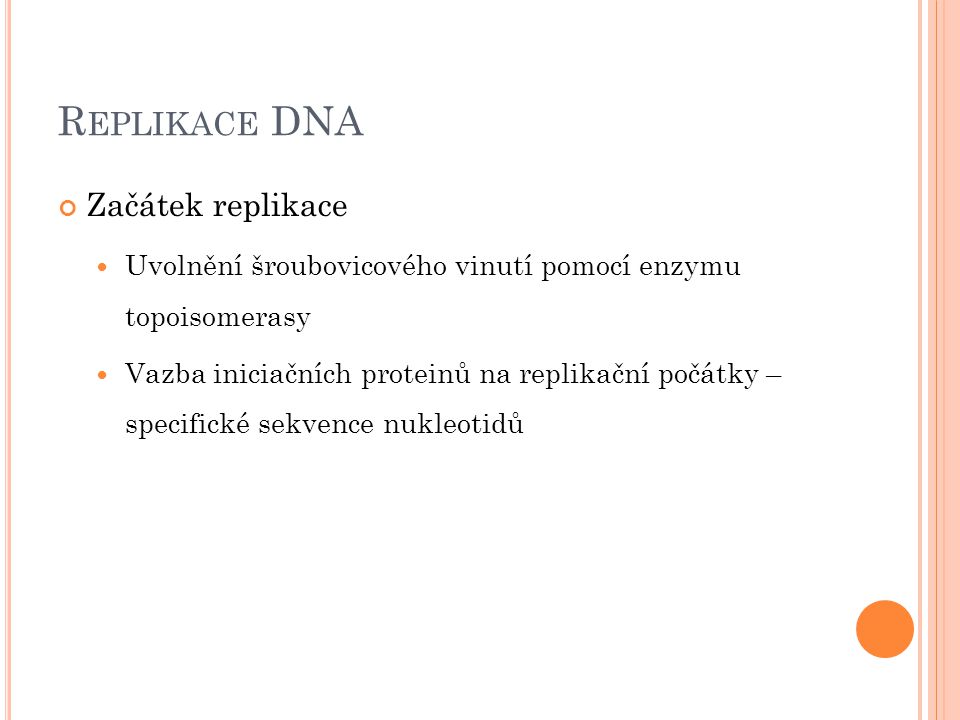 Replikace DNA Začátek replikace