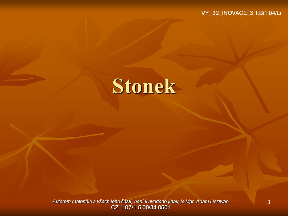 Stonek VY_32_INOVACE_3.1.Bi1.04/Li