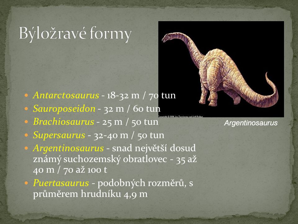 Býložravé formy Antarctosaurus m / 70 tun