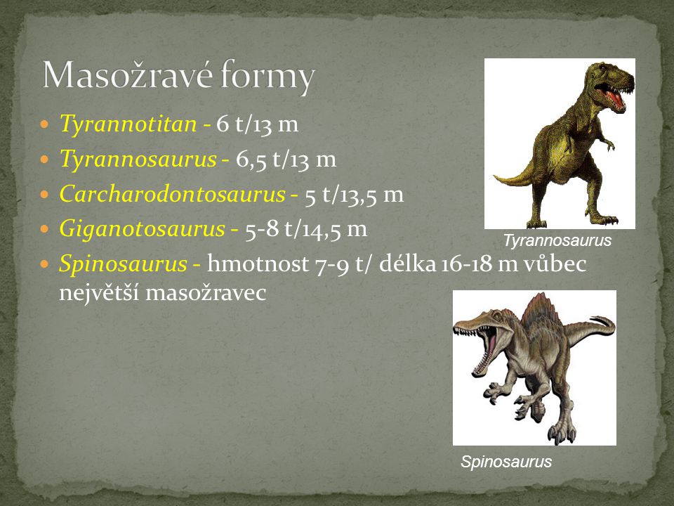 Masožravé formy Tyrannotitan - 6 t/13 m Tyrannosaurus - 6,5 t/13 m