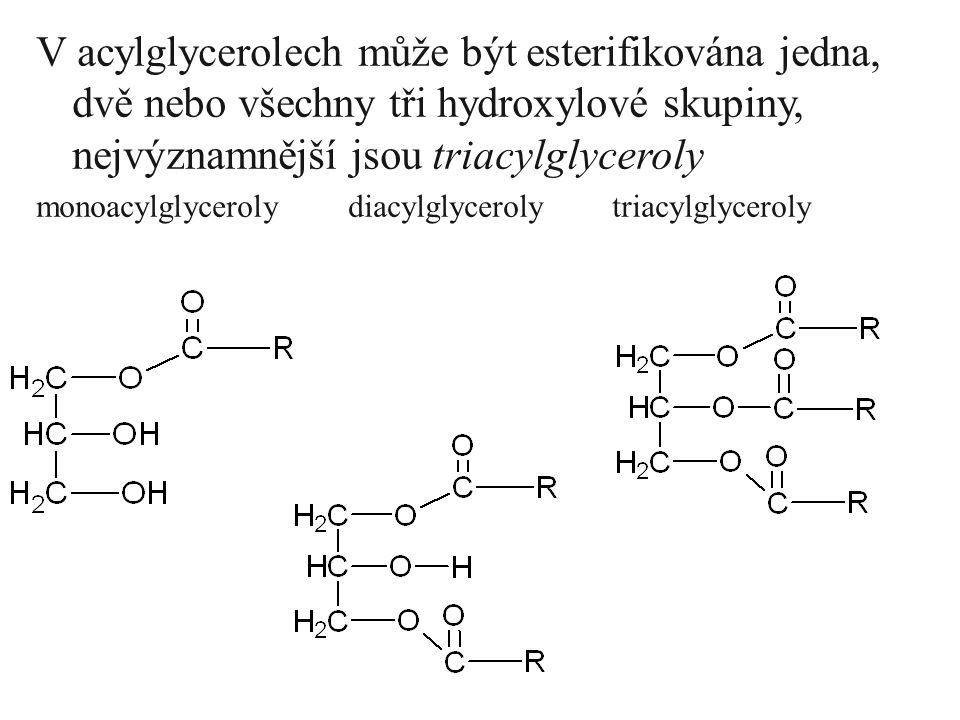 V acylglycerolech může být esterifikována jedna, dvě nebo všechny tři hydroxylové skupiny, nejvýznamnější jsou triacylglyceroly