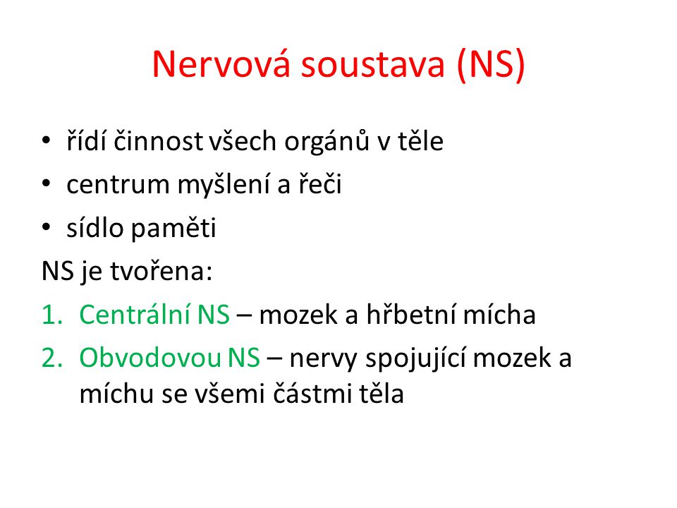 Nervová soustava (NS) řídí činnost všech orgánů v těle