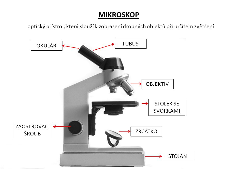 MIKROSKOP optický přístroj, který slouží k zobrazení drobných objektů při určitém zvětšení. ZRCÁTKO.