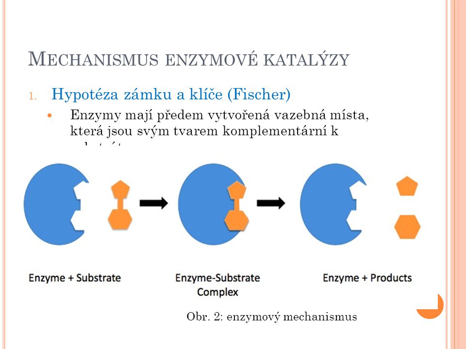 Mechanismus enzymové katalýzy