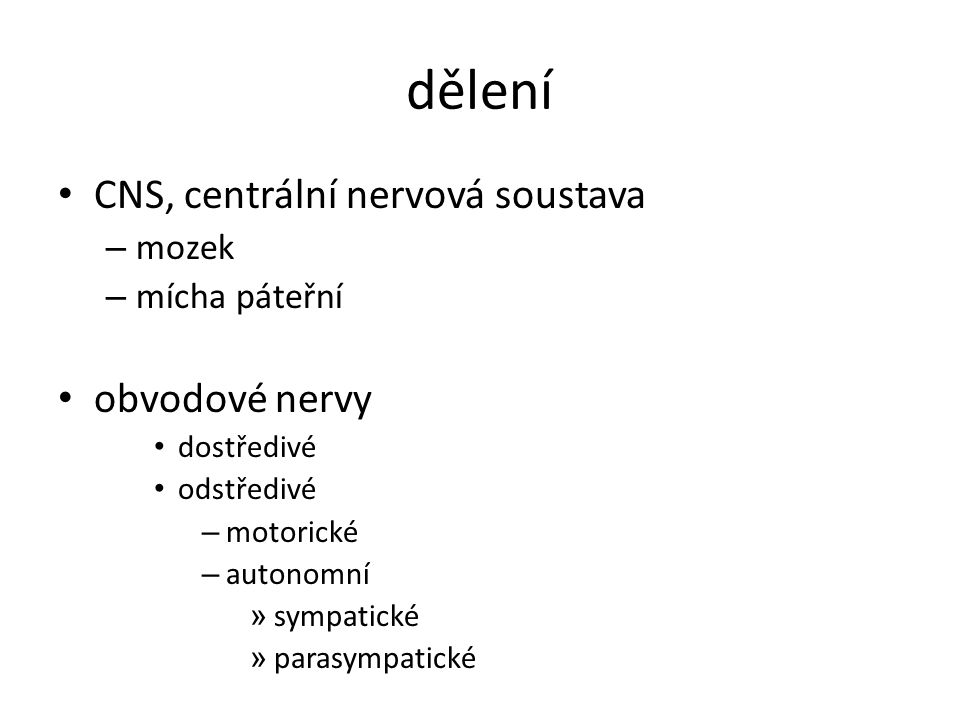 dělení CNS, centrální nervová soustava obvodové nervy mozek