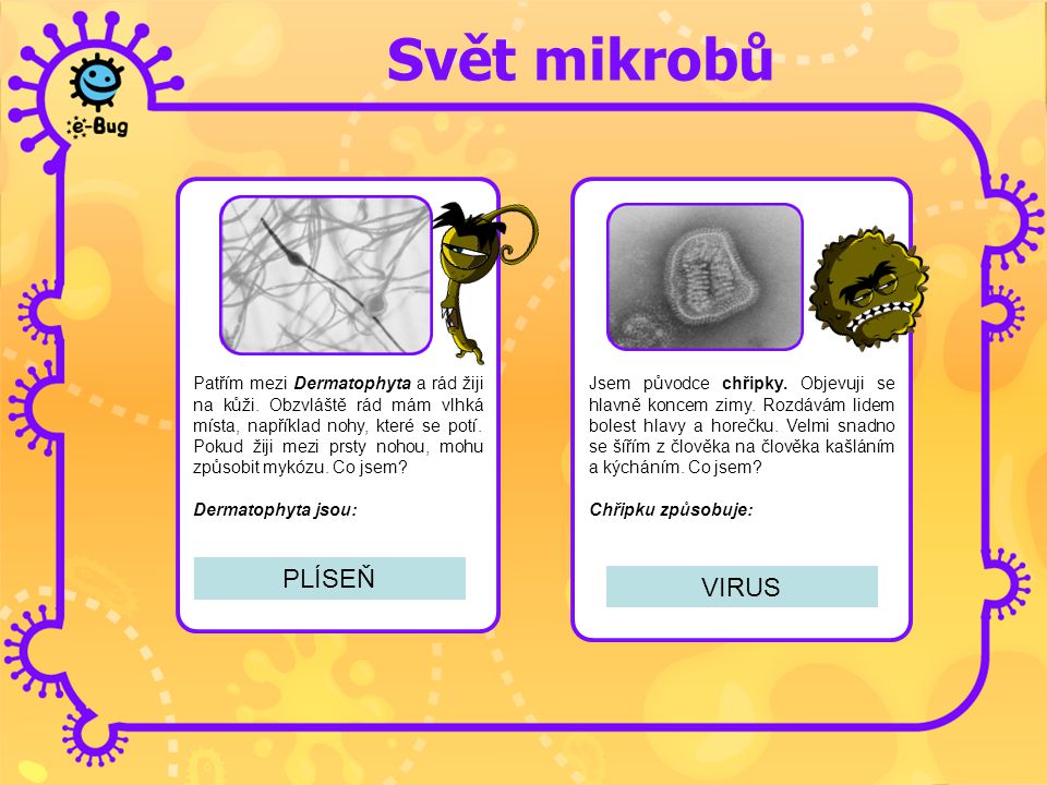 Svět mikrobů PLÍSEŇ VIRUS