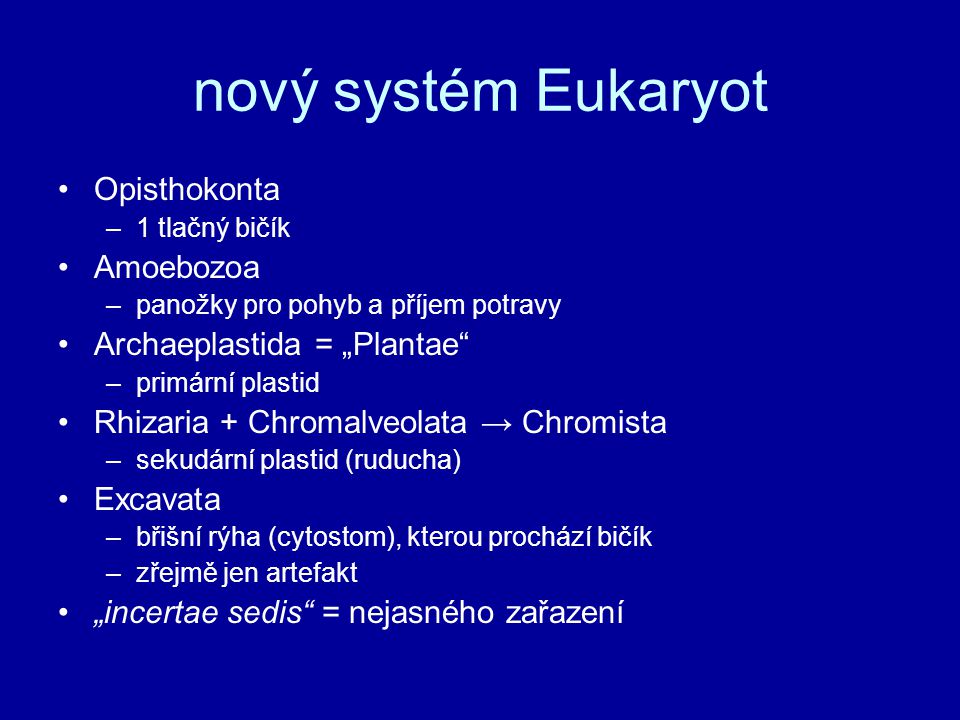 nový systém Eukaryot Opisthokonta Amoebozoa Archaeplastida = „Plantae