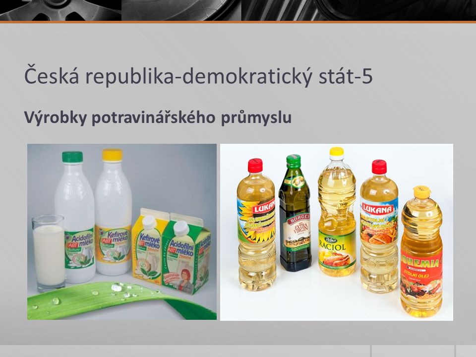 Česká republika-demokratický stát-5