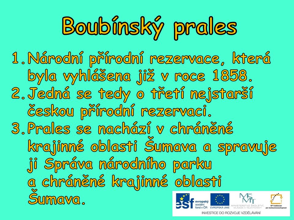 Boubínský prales Národní přírodní rezervace, která byla vyhlášena již v roce Jedná se tedy o třetí nejstarší českou přírodní rezervaci.