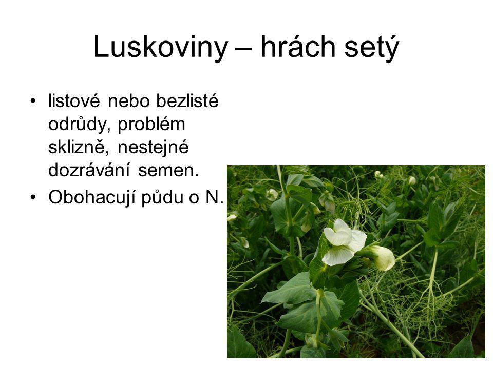 Luskoviny – hrách setý listové nebo bezlisté odrůdy, problém sklizně, nestejné dozrávání semen.