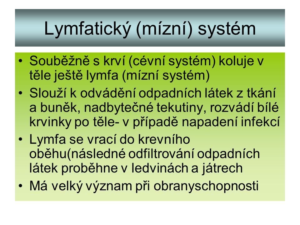 Lymfatický (mízní) systém