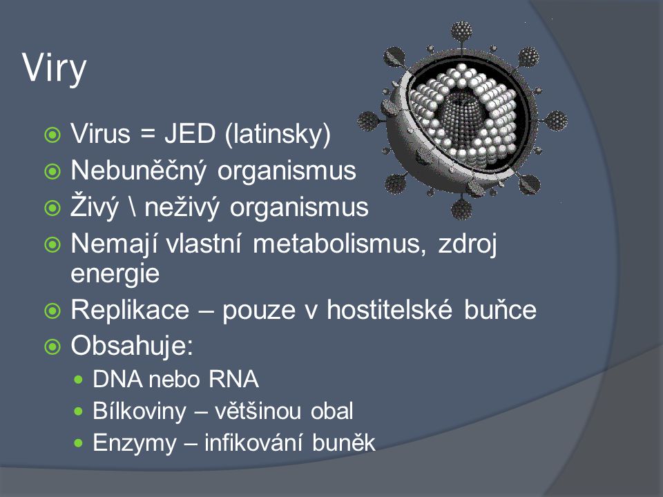 Viry Virus = JED (latinsky) Nebuněčný organismus