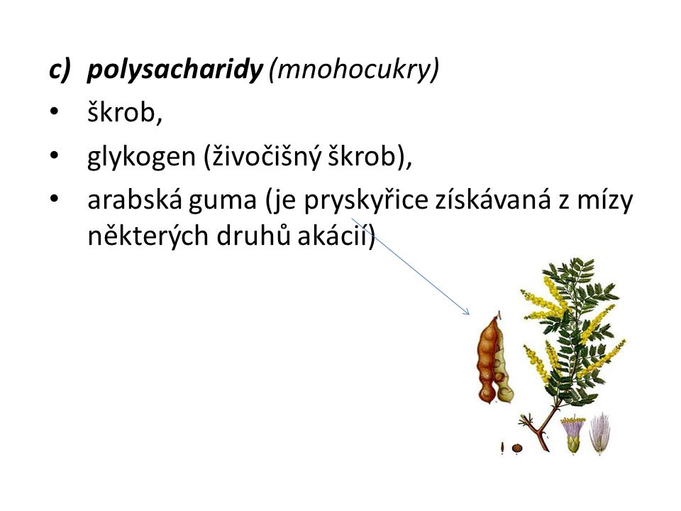 polysacharidy (mnohocukry)