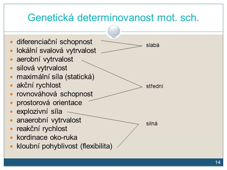 Genetická determinovanost mot. sch.