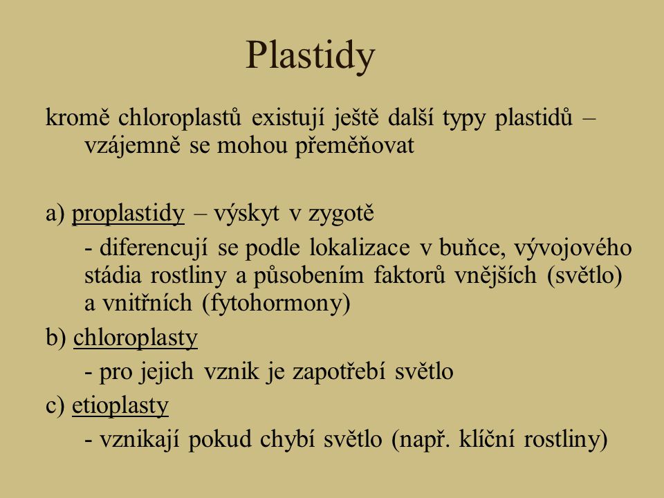 Plastidy kromě chloroplastů existují ještě další typy plastidů – vzájemně se mohou přeměňovat. a) proplastidy – výskyt v zygotě.