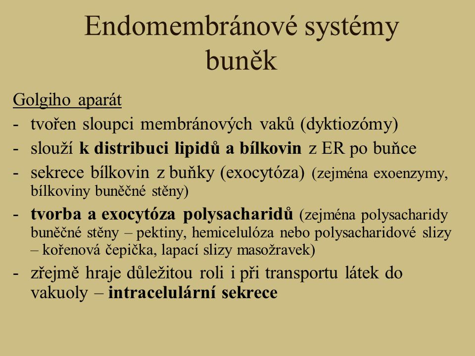 Endomembránové systémy buněk