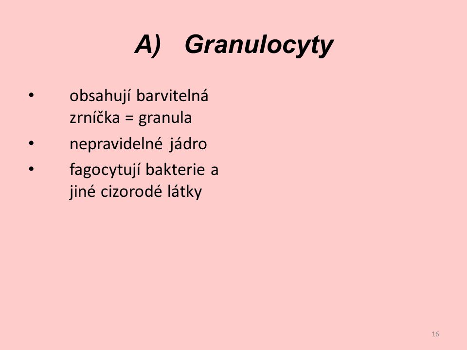 A) Granulocyty obsahují barvitelná zrníčka = granula