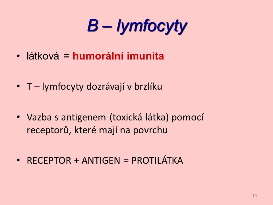 B – lymfocyty látková = humorální imunita