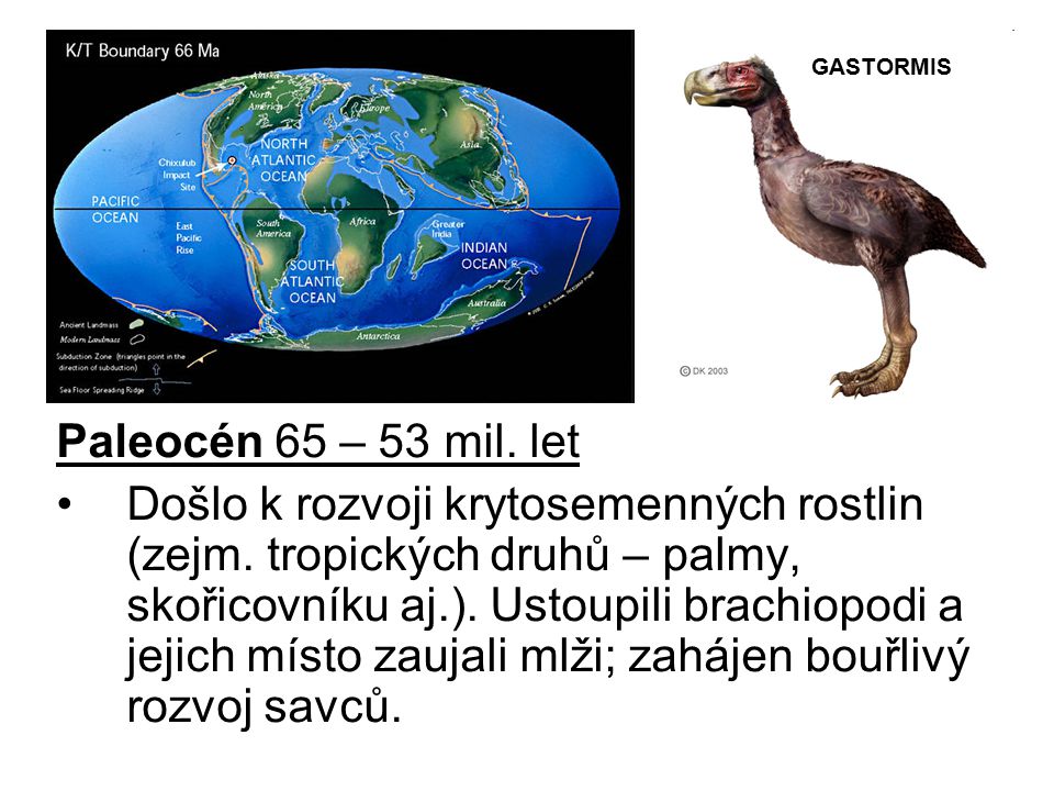 GASTORMIS Paleocén 65 – 53 mil. let.
