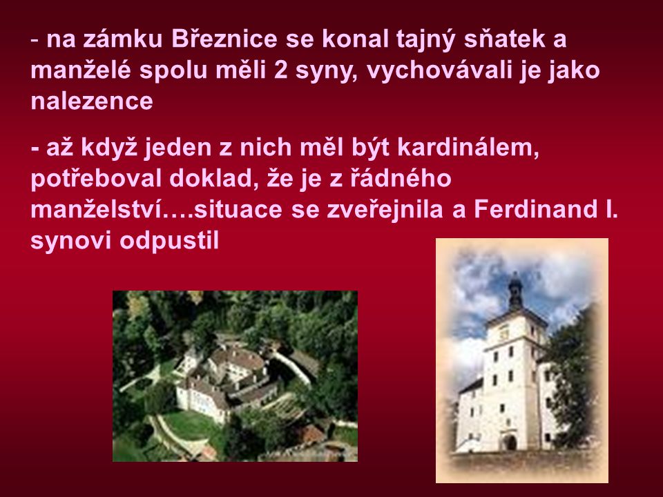 na zámku Březnice se konal tajný sňatek a manželé spolu měli 2 syny, vychovávali je jako nalezence