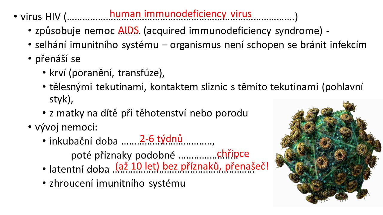 human immunodeficiency virus