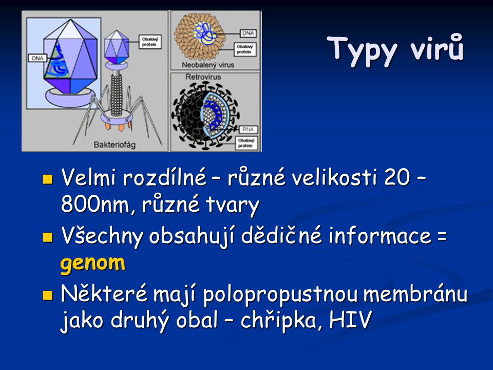 Typy virů Velmi rozdílné – různé velikosti 20 – 800nm, různé tvary